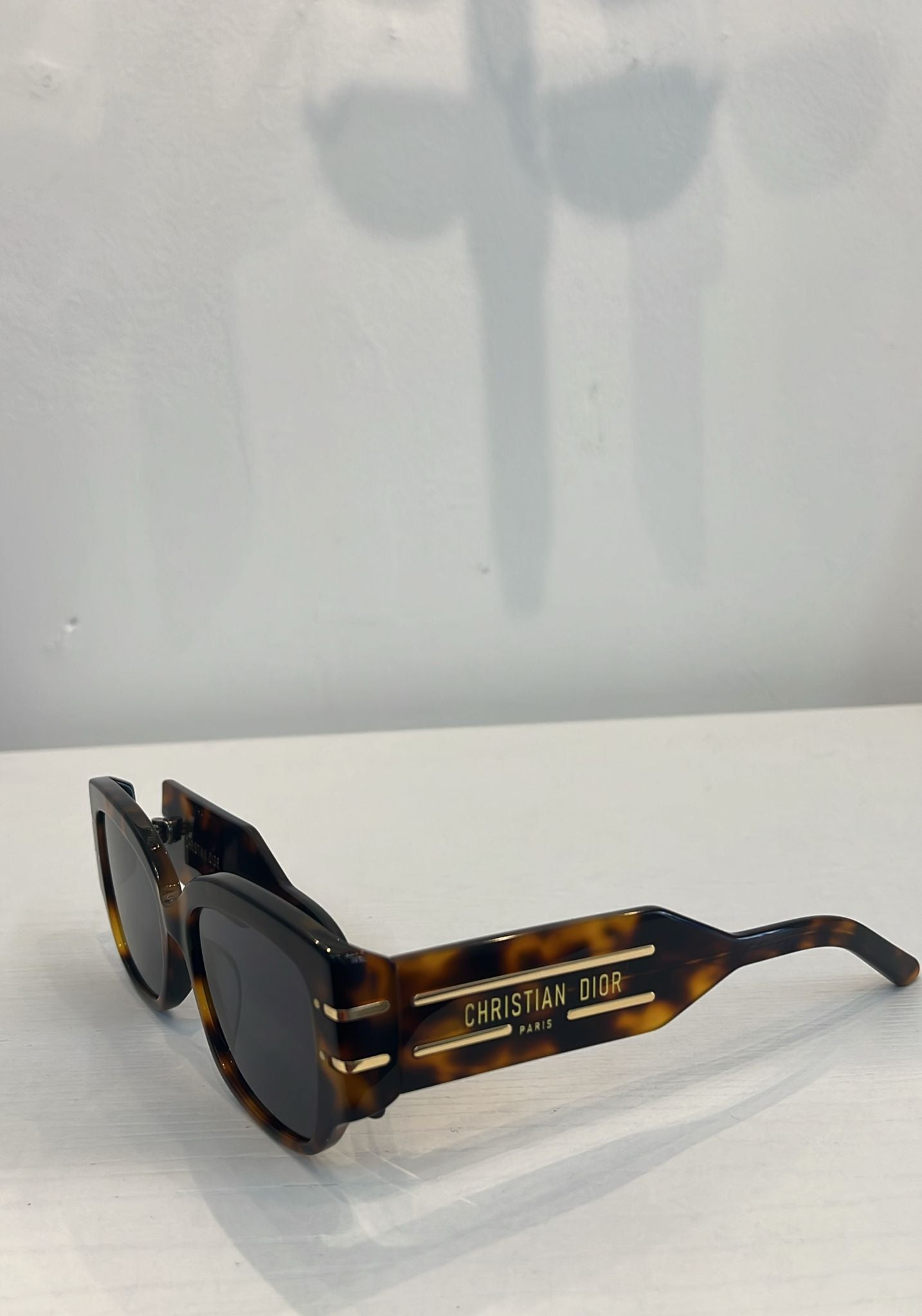 DIORSIGNATURE S13F 20B0